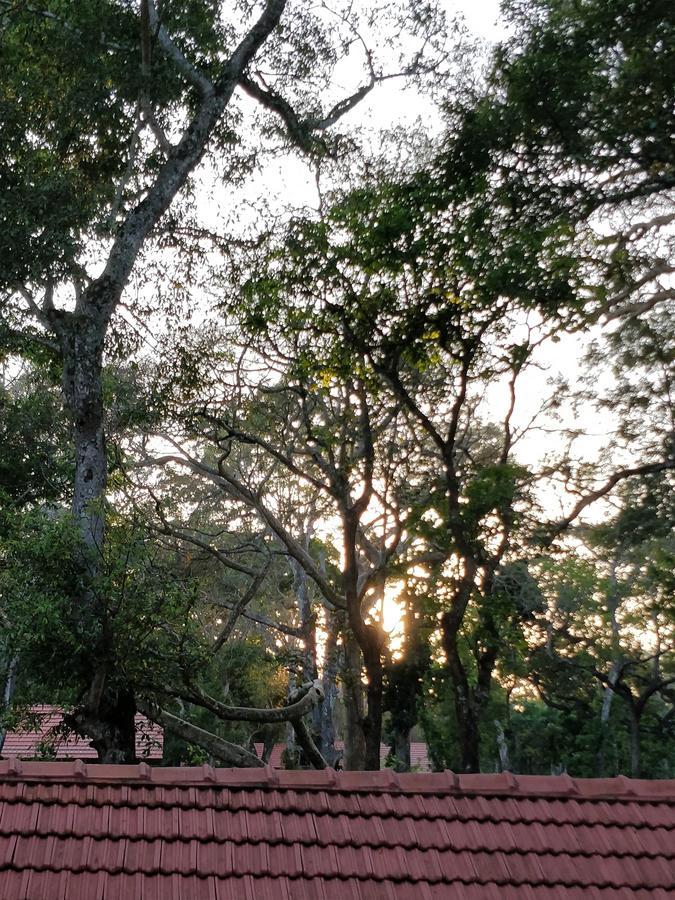 The Birchwood Retreat, Madikeri Hotel Екстериор снимка